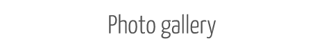 Galerija slika